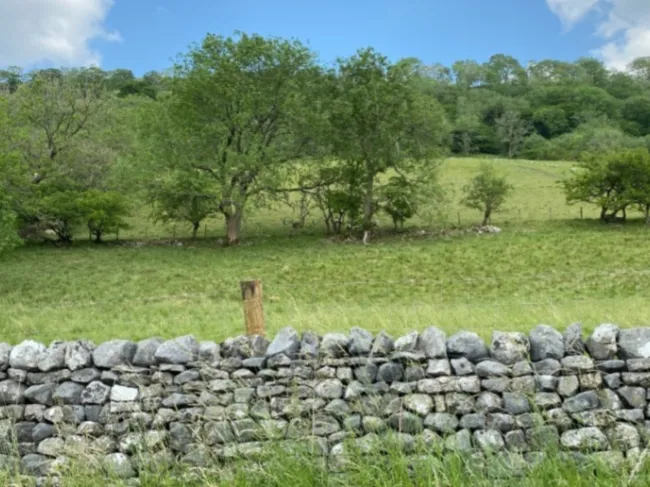 fence